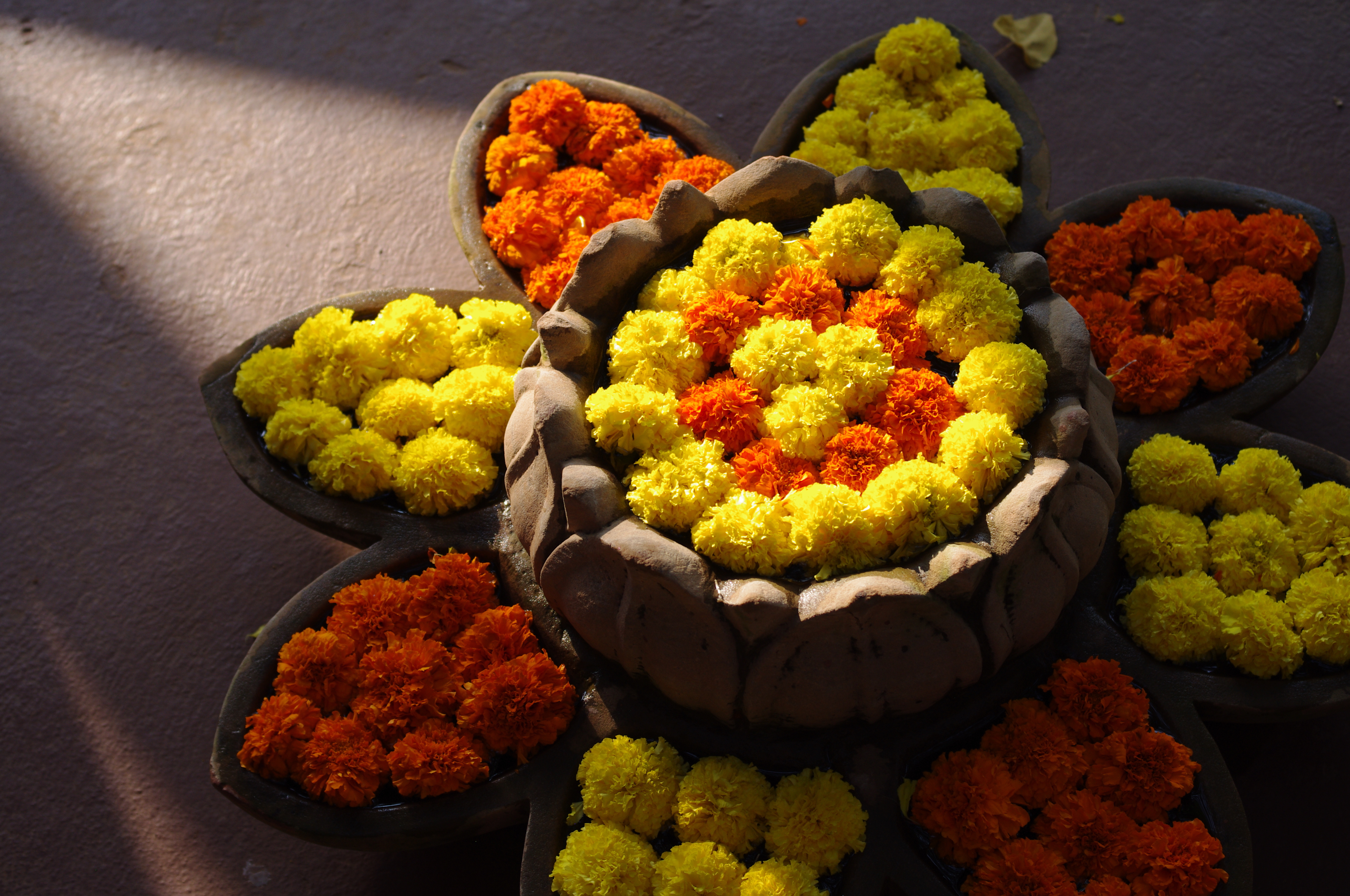 carnation display