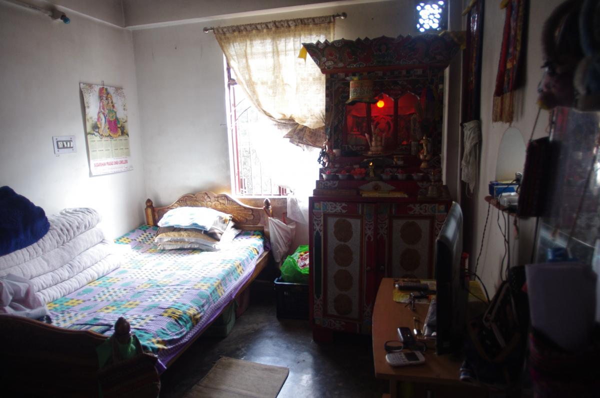 IMGP5366